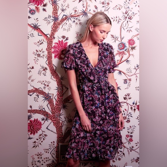 Misa Los Angeles Sheer Solenn Dress - Picture 8 of 13